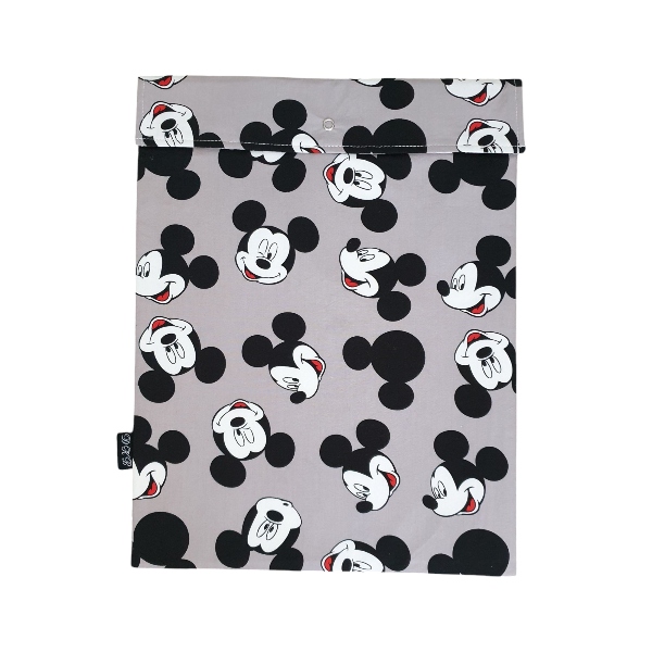 book mickey mouse